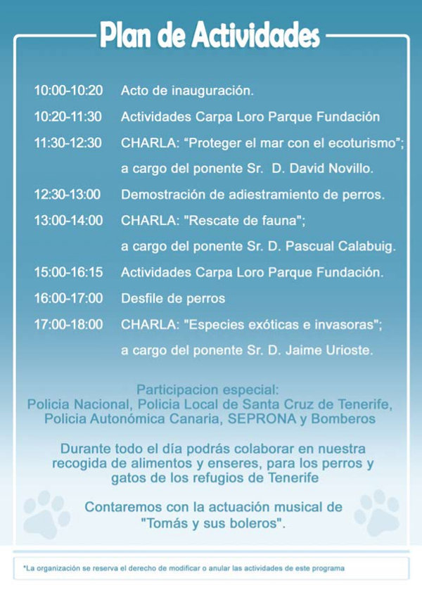 actividades_blog