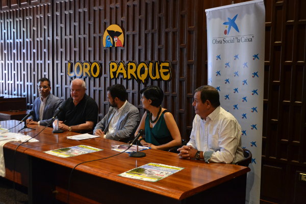 carrera_solidaria_B