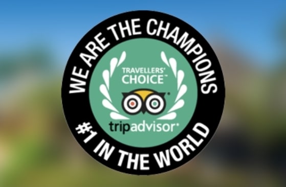 sello tripadvisor mejor zoo del mundo