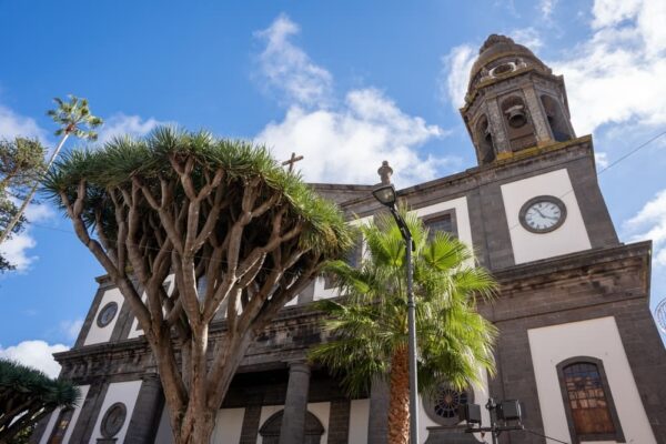 Catedral La Laguna Catedral La Laguna